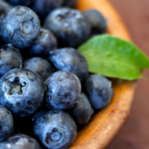 blueberries1-300x300