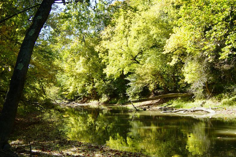 Nature_Preserve_in_Ohio